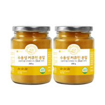 바로푸드 수용성 커큐민 분말 가루 강황 인도산 200g, 2통