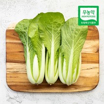 삼시세끼연구소 친환경 열무 얼갈이 배추 단배추 얼갈이배추김치 겉절이 용 500g