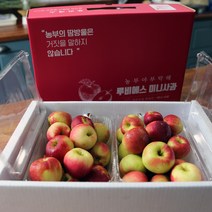 미니사과 루비에스 1kg/2kg, 2kg_선물세트