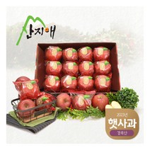 [산지애] [2023햇사과] 씻어나온 꿀사과 3kg 1box (중과), 상세 설명 참조