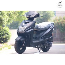 배달 스쿠터 휘발유 오토바이 125cc 라이더 미니, EFI 에디션