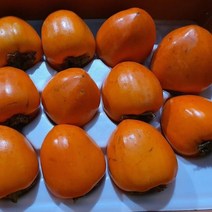 지리산 대봉감 대봉시 5kg 대과 15-16과내 감판매, 상세페이지 참조