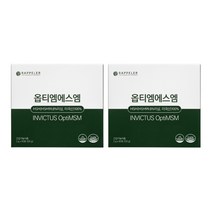 라플레 옵티엠에스엠 OPTIMSM, 60포, 2box