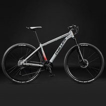 가성비 29인치 MTB 알루미늄 산악 자전거 여성 남성 30단 33단 쇼크 업소버 오프로드, 27단, 라이트그레이, 26인치