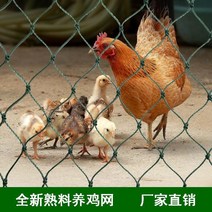 고라니망 울타리망 노루망 동물방지망 경계망 지주대 멧돼지 울타리5 m10 m50 m 새, 5m x 10m
