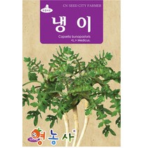냉이씨앗 5000립, 1개