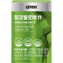 GNM자연의품격 징코빌로바11 1개월분 은행잎추출물 은행잎추출물