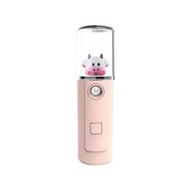 미스트기계 안면스팀기 얼굴스팀기 페이스스티머 미스트기 휴대용 나노 미스트 스프레이 페이스 스티머 분무기 보습 수분 공급 뷰티 스킨 케어, 06 06
