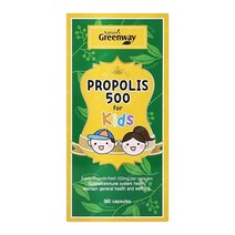 네이쳐스그린웨이 키즈 어린이용 프로폴리스 500mg 360정, 1개