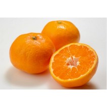 제주감귤 2kg 3kg 귤 하우스 명절 서귀포 밀감 추석 선물세트, 1박스, 하우스 감귤 /2kg 대과 [L~3L]