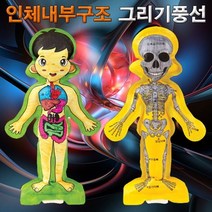 과학교구 과학키트 과학사 인체 내부구조 그리기 풍선(인체골격과 내장기관)과학교구
