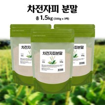 차전자피가루 - 화이트토마토 분말 귀리껍질가루 유기농새싹보리 뉴트리밀 [1.5kg], 차전자피 분말 1.5kg