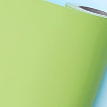 DBFS-207 단색엠보 그린/가구시트지/고광택/단색엠보/대리석/무늬목시트지/방염시트지/시트지/포인트, DBFS-207 단색엠보 그린 S