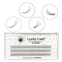 럭키 래쉬 프리메이드 볼륨 팬 속눈썹 익스텐션 3D/4D/5D 샤프 좁은 스템 자연스럽고 인조 밍크, 01 D_01 0.10mm_06 13mm_03 2D
