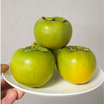 한정판매)고당도 아삭 햇태추 단감 배단감 중과 중대과 2kg 3kg 5kg, 2kg 중대과, 1개