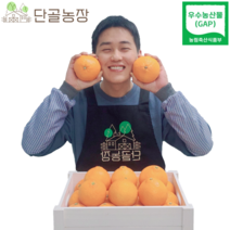 제주 산지직송 우수농산물(GAP) 인증 선물 1위 게르농법 고당도 레드향, 레드향 / 3kg / 가정용 / 9~15과내외