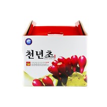 춘식이네천년초즙 자연그대로 국내산 천년초즙 100ml 5박스주문하시면1박스더드립니다, 1박스, 100ml x 30포