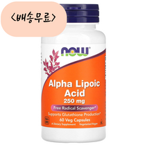 나우푸드 알파리포산 250mg 60개입, 1개, 60정, 60개