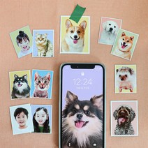 [1+1] 반려동물 증명사진 스티커 보정파일 무료제공, 2컷세트(6*8), 직접자를게요, (1+1)리뷰할게요