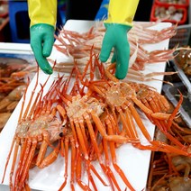 포항 산지직송 자숙 홍게 박달 라면용 실속 고급형 프리미엄 수율 다리 특대 쩌서파는 먹는법 90, <A-2>연지홍게 실속형 커플용 (자숙12마리)” class=”wr-img”></a></div>
</div>
</div>
</div>
<div class=