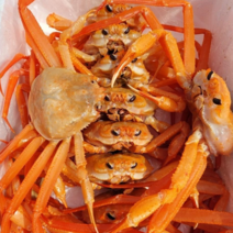 동해안 자숙 홍게 연지홍게 8kg 3kg, 정품 소6kg(22-26미)