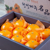 프리미엄 고당도 천혜향 3kg 특품 선물용 선물세트, 천혜향 3kg 7~13과(선물용)