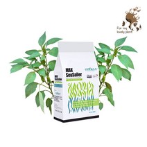 씨티맥스 SeaSailer 해초추출물 10kg 식물 균형 성장