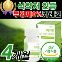 식 약 청 인증 카테킨 다이어트 그린 초록 녹차 추출물 egcg 체 내장 복부 지방 감소 도움 hdl ldl 콜레스테롤 중년 남성 여성 남자 여자 건강 식품 보조제 정품 [라풀굿], 240정(4개월)