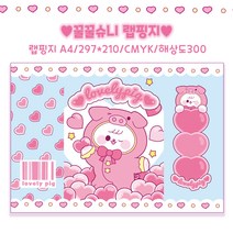 [아림달님] 꿀꿀 슈니 랩핑지, 100장
