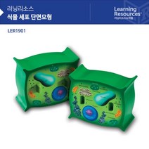 러닝리소스 교구 놀이감 식물 세포 단면모형 [LER1901]