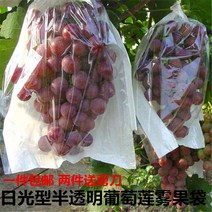 반투명 과일포장지 100장 농산물 과일봉투 농장 봉지, 30x38cm  불투명 종이봉투 100장