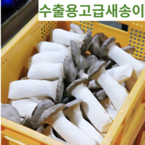새송이버섯 2키로(친환경 수출용 무농약), 미니(가정용)2키로, 1개