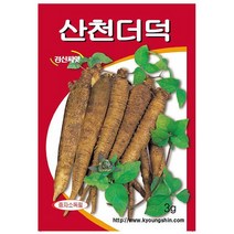 바보사랑 산천 더덕 씨앗 (3g) 텃밭 쌈채소 종자 키우기 .미미네아쿠아