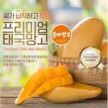 태국망고 항공직송 바로배송 프리미엄 선물세트, 태국망고 S 4개 [1.25kg]