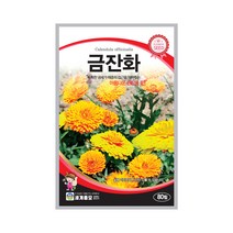 모칸도 (무배)세계 금잔화꽃씨 (80립)