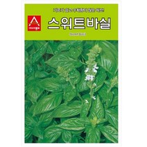 허브씨앗종자) 스위트 바실(50g) S2889, 선택완료