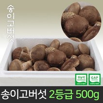 송이고버섯 2등급 500g /당일수확/생산자 발송, 2등급500g