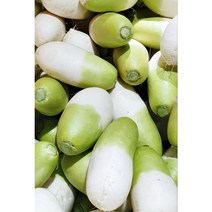 [청정 제주도] 제주 세척 햇 월동무 10kg 20kg 무우 한박스, 10kg 한 박스
