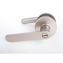 블루레몬 방문손잡이 BBL-950 GR, 10개