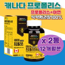 정상적인 면역 기능 세포분열 프로폴리스 항산화 도움 활성산소 남녀노소 청소년 수험생 부모님 어머니 아버지 억제 대용량 현대인 캡슐 성장기 캐나다직수입 아연 슈퍼로얄 플라보노이드