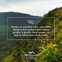 미국직구 Tru Highlands 커피 Kenya AA 다크 로스트 - 프리미엄 그라운드 단일 원산지 100% 아라비카 커피 16온스, 수량, 상세참조