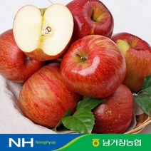 아삭달콤한 거창 꿀사과 가정용 5kg(소과)24-29과 내외, 단품