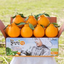 제주 꿀범벅 한라봉 4.5kg 중과(16-25)
