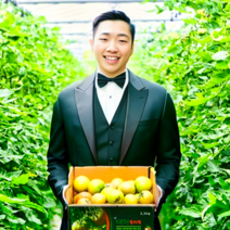 당일수확 당일발송 부산 대저 짭짤이 토마토, 짭짤이 토마토 (소과) 2.5kg -추천-