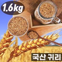 국내산 해남 귀리 쫀득한 영양만점 통곡물 건강식 국산 귀리쌀 1.6kg, 단품