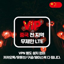 VIP 중국 4G LTE 포켓 와이파이 매일 1GB 후 저속 국내공항 수령, 중국  4G LTE 매일 1GB 후 저속