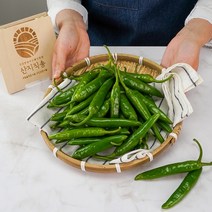 국내산 알싸하게 매운고추 청양고추 땡초 400g x 1봉, 1개