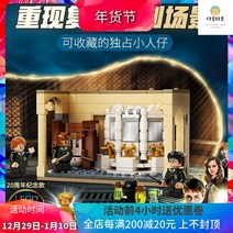 중국레고 해리포터 76386 호그와트 복합탕제의 재왕, 복방탕제의화