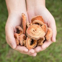 봉래 국산 모과(편) 200g 16개입 BOX/말린모과/건조모과/건모과/목과/모과차 식품 > 신선식품 채소류 인삼/한차재료 감초, 1″ class=”wr-img”></a></div>
</p></div>
</p></div>
</p></div>
<div class=