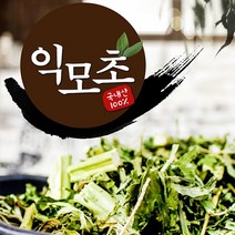 제천약초생활건강 익모초 200g, 1개, 제천약초생활건강익모초200g